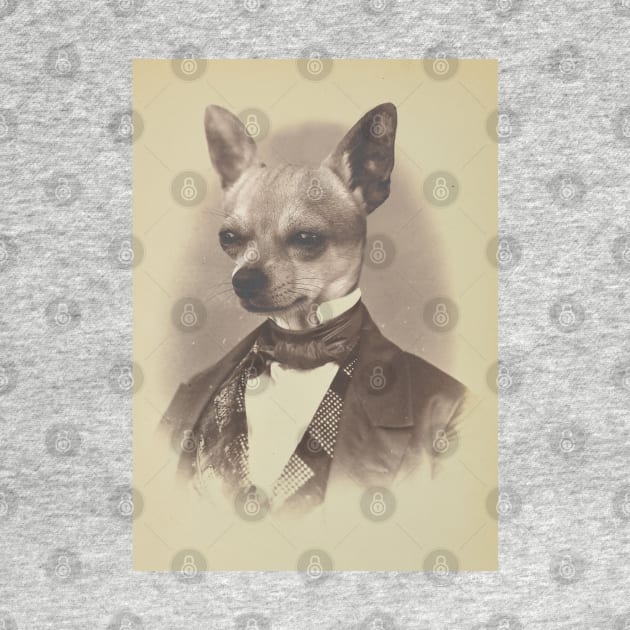 Gentleman Chihuahua by luigitarini